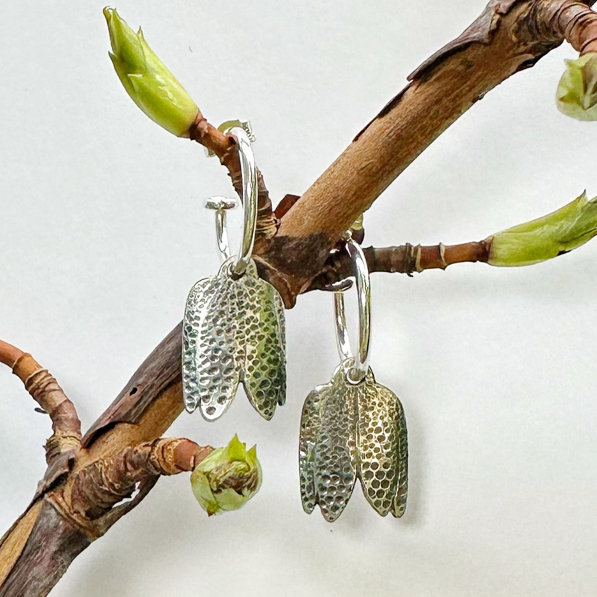 FRITILLARIA Hoops